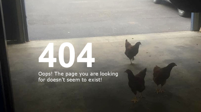 404-chickens